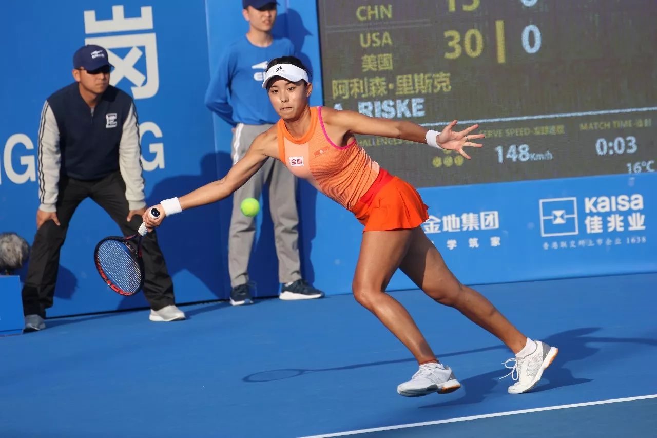 太极拳展演 太极拳展演