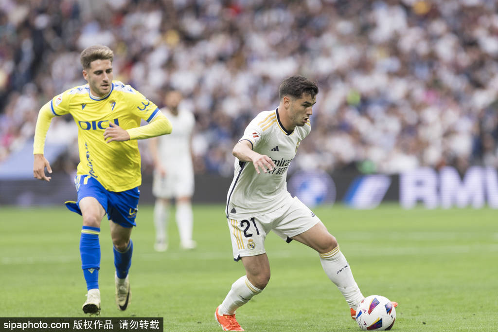 范化判罚和 范化判罚和