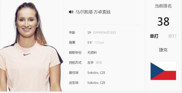 核心球员的